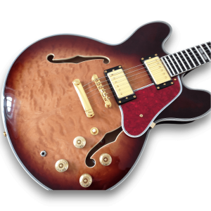 Custom Made F-Holes Supreme Bourbon Burst Quilted Maple Top Vintage Electric Guitar