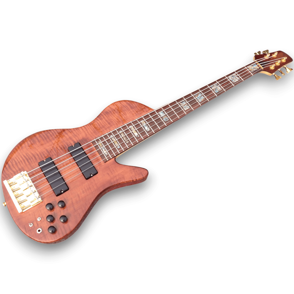 Custom Made 5 Strings Emperor Bass with Maple Top Wood