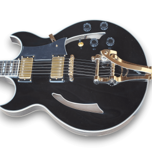 Custom Made Double Cutaway F-Hole Black Electric Guitar