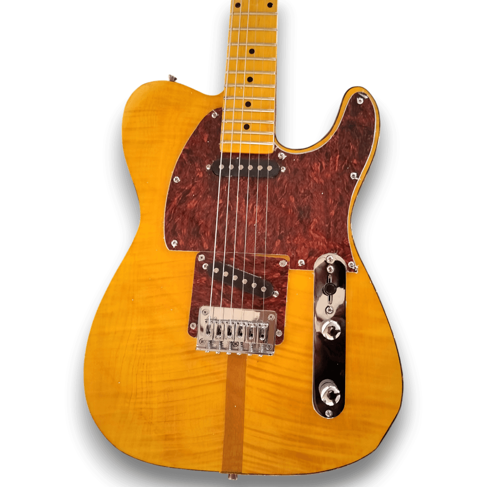 Custom Made Flame Maple Top Tele Style The Prinz Madcat 6 Strings Electric Guitar