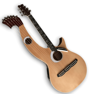Custom Made Eclipse Harp Acoustic Guitar Double Neck Guitar
