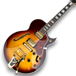 Custom Made Byrdland Style Sunburst Hollow Body Electric Guitar