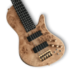 Custom Made 5 Strings Emperor Bass with Burl Maple Top Electric Bass