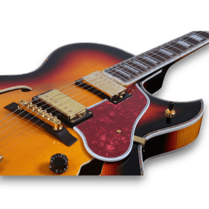 Custom Made Sunburst Byrdland Style Hollow Body Electric Guitar - Image 3