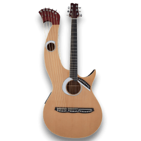 Custom Made Double Neck Acoustic Guitar Eclipse Harp Style Guitar