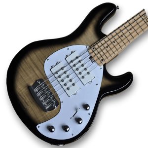 Custom Made 5 Strings Brown Burst StingRay Electric Bass