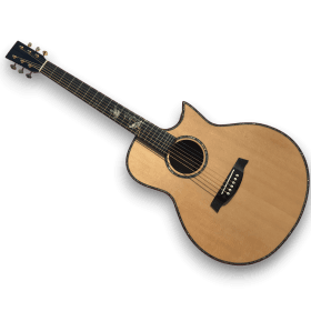 Custom Made Natural Finish with Special Bird Inlay Acoustic Guitar
