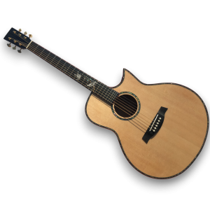 Custom Made Natural Finish with Special Bird Inlay Acoustic Guitar
