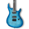 Custom Made Blue Burst Flame Maple Top Regius Style 6 Strings Electric Guitar