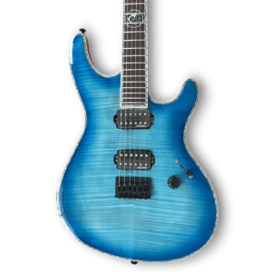 Custom Made Blue Burst Flame Maple Top Regius Style 6 Strings Electric Guitar