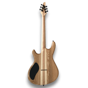 Custom Made Blue Burst Flame Maple Top Regius Style 6 Strings Electric Guitar - Image 5