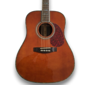 Custom Made D45 Style with Fishman Pickup Acoustic Guitar