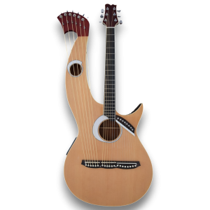Custom Made Harp Double Neck Eclipse Style Acoustic Guitar