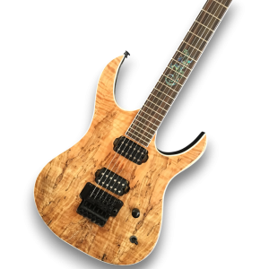 Custom Made Lizard Style Inlay Spalted Maple Top 6 Strings Electric Guitar