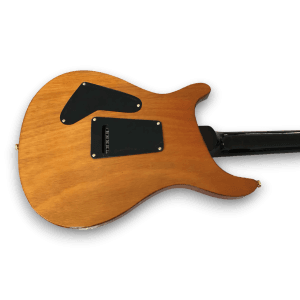 Custom Made Natural Wood Finish Burl Maple Top 6 Strings Electric Guitar - Image 5