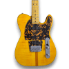 Custom Made The Prinz Madcat Tele Style Flame Maple Top 6 Strings Electric Guitar