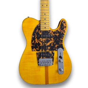 Custom Made The Prinz Madcat Tele Style Flame Maple Top 6 Strings Electric Guitar