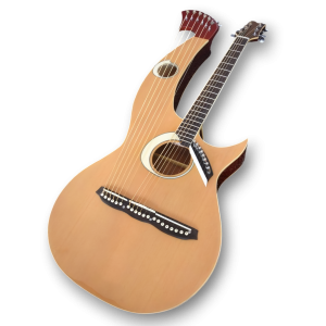 Custom Made Double Neck Harp Eclipse Style Acoustic Guitar