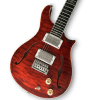 Custom Made Quilted Maple Top Semi-Hollow F Holes Style 6 Strings Electric Guitar