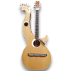 Custom Made Harp Double Neck Acoustic Guitar Eclipse Style Guitar