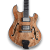 Custom Made Semi-Hollow Body Spalted Maple Top Trey Anastasio Style 6 Strings Electric Guitar