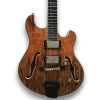 Custom Made Trey Anastasio Style Semi-Hollow Spalted Maple Top 6 Strings Electric Guitar