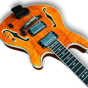 Custom Made Semi-Hollow Trey Anastasio Style Flame Maple Top 6 Strings Electric Guitar - Image 2