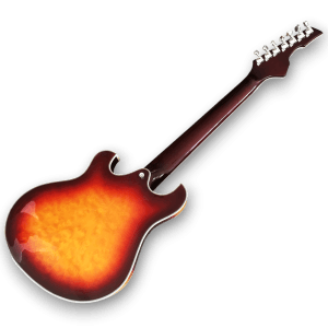 Custom Made Sunburst Trey Anastasio Style Semi-Hollow Flame Maple Top 6 Strings Electric Guitar - Image 5