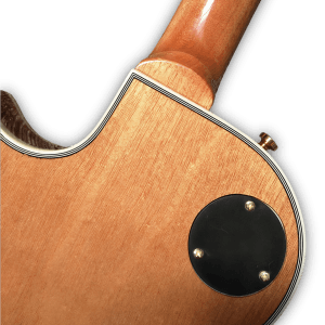 Custom Made Spalted Maple Top Natural Finish LP Style Dragon Inlay 6 Strings Electric Guitar - Image 7