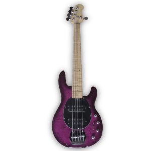Custom Made Purple Sunset 5 Strings Electric Bass
