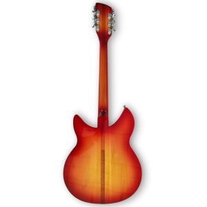 Custom Made Fireglo Color Semi-Hollow 360 12 Style 12 String Electric Guitar - Image 4