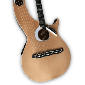 Custom Made Maple Wood Harp Double Neck Eclipse Style Acoustic Guitar - Image 2