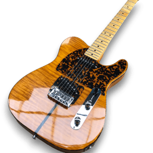 Custom Made Tele Style The Prinz Madcat Flame Maple Top 6 Strings Electric Guitar - Image 2