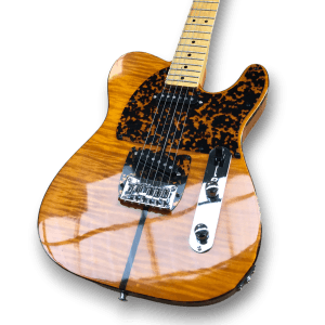 Custom Made Tele Style The Prinz Madcat Flame Maple Top 6 Strings Electric Guitar