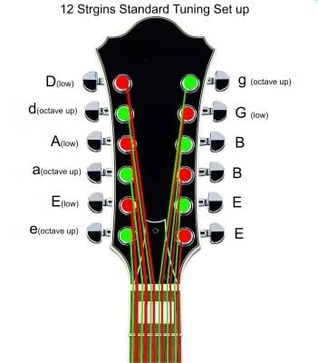 Standard String Set Up