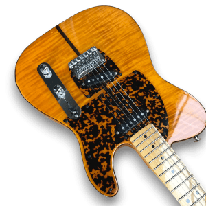 Custom Made Tele Style The Prinz Madcat Flame Maple Top 6 Strings Electric Guitar - Image 3
