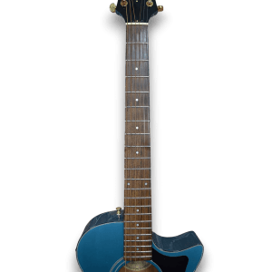 Custom Made Songbird Pelham Blue BG Barry Gibb Style Acoustic Guitar - Image 3