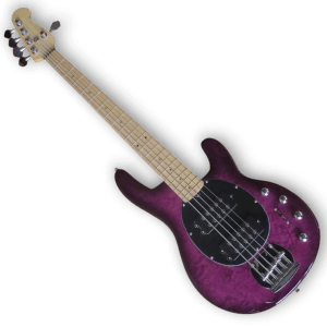 Custom Made Maple Burl Top Purple Burst Style 5 Strings Electric Bass
